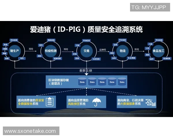 足球热讯：新赛季转会动态揭晓明星球员去向引发热议